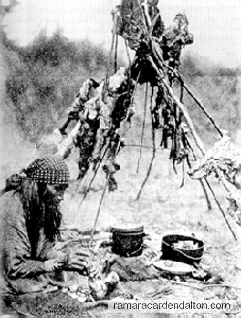 Photo of the day 425 - Photo of the day