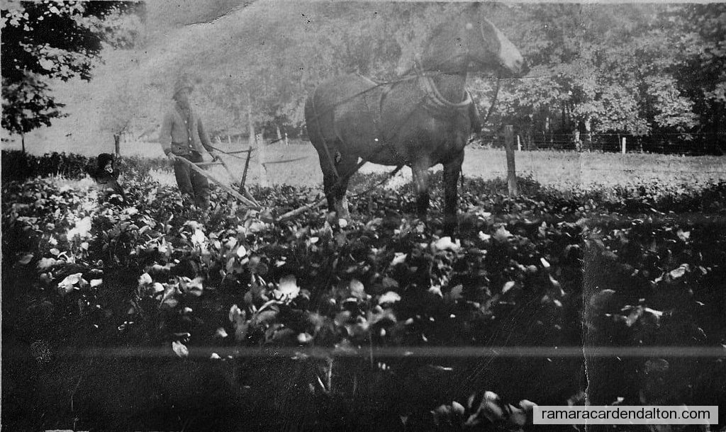 Photo of the day 4258 - Photo of the day