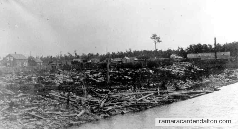 Photo of the day 431 - Photo of the day