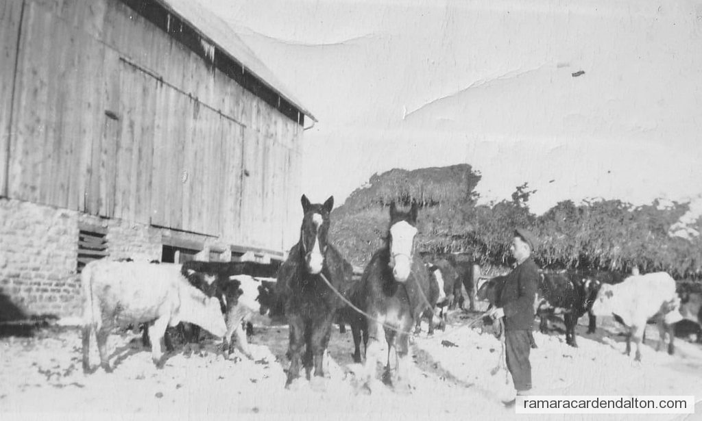 Photo of the day 4324 - Photo of the day