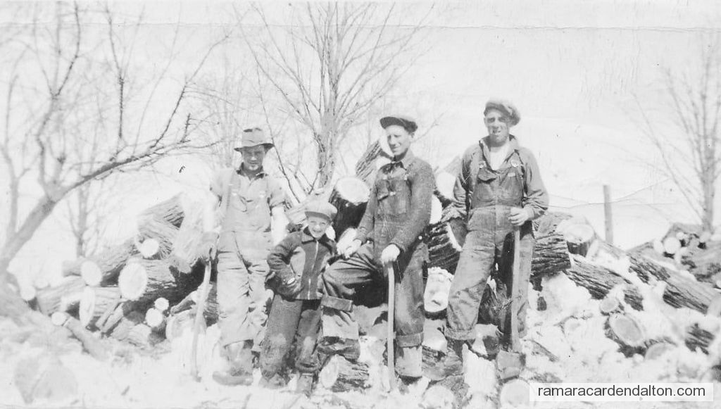 Photo of the day 4334 - Photo of the day