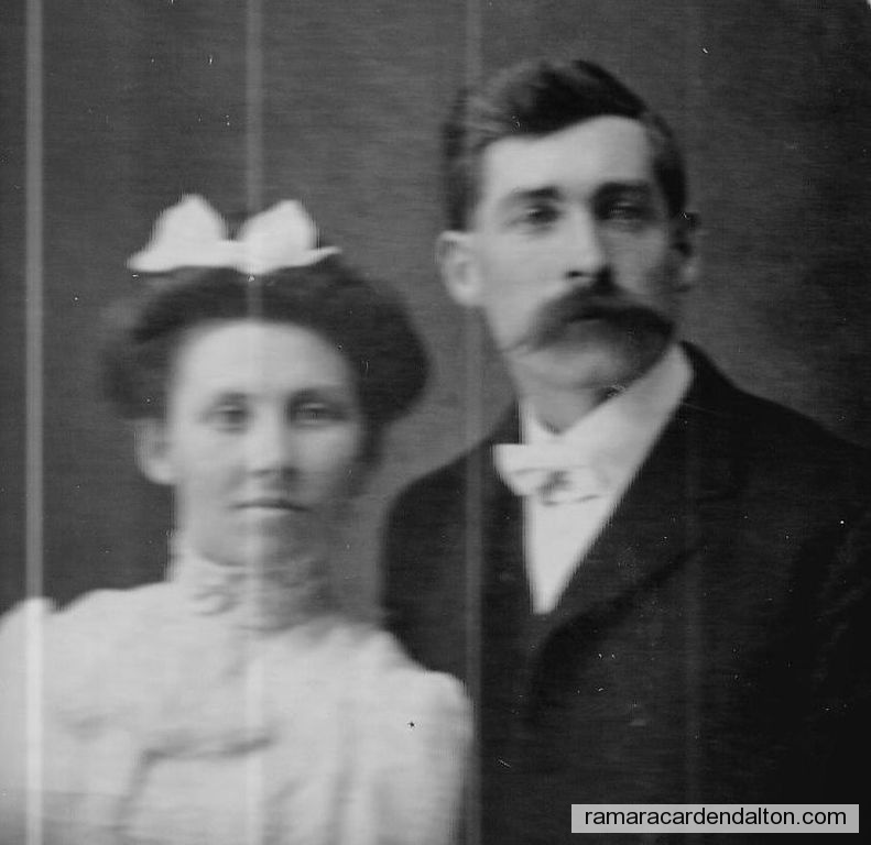 Photo of the day 4338 - Photo of the day