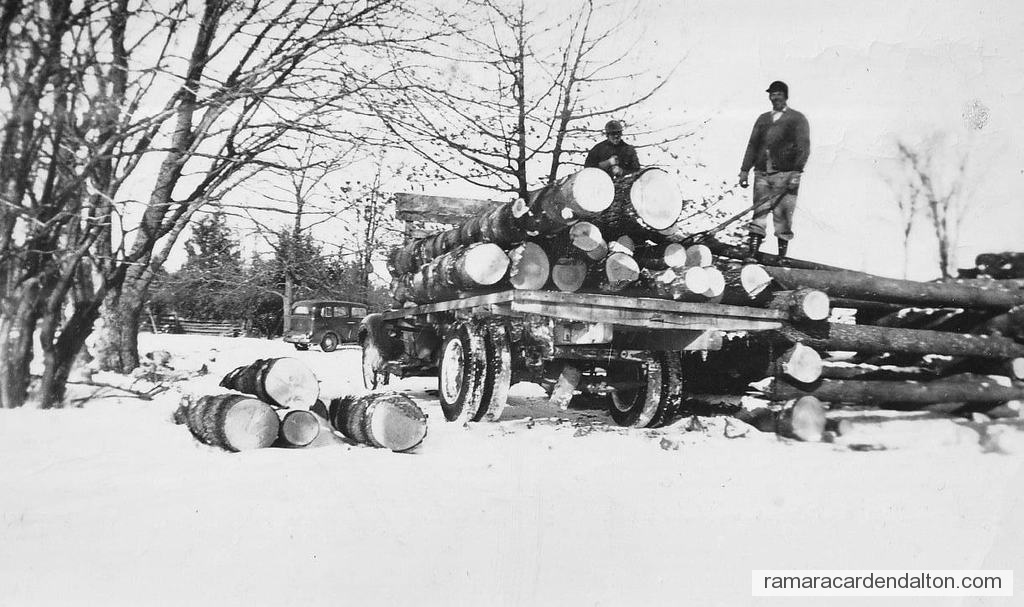 Photo of the day 4343 - Photo of the day