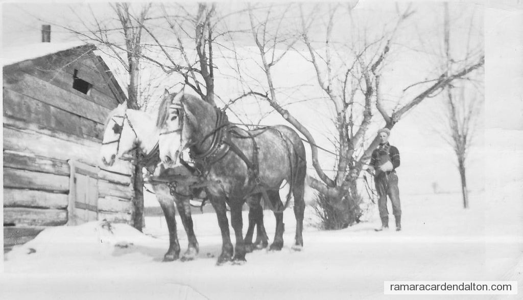 Photo of the day 4360 - Photo of the day