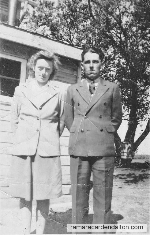 Photo of the day 4362 - Photo of the day