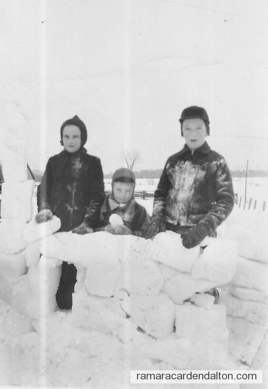 Photo of the day 4379 - Photo of the day