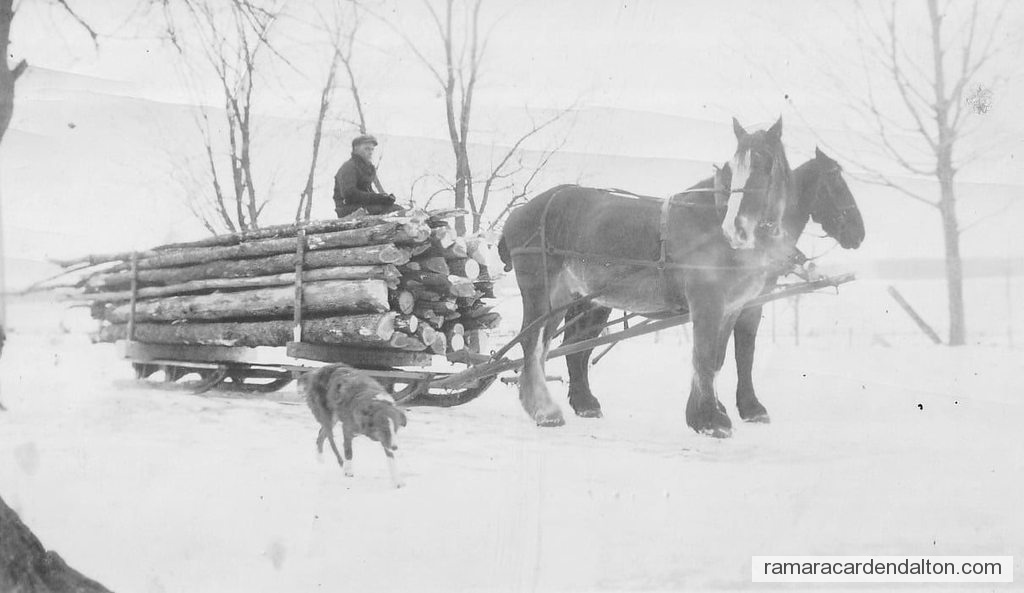 Photo of the day 4408 - Photo of the day