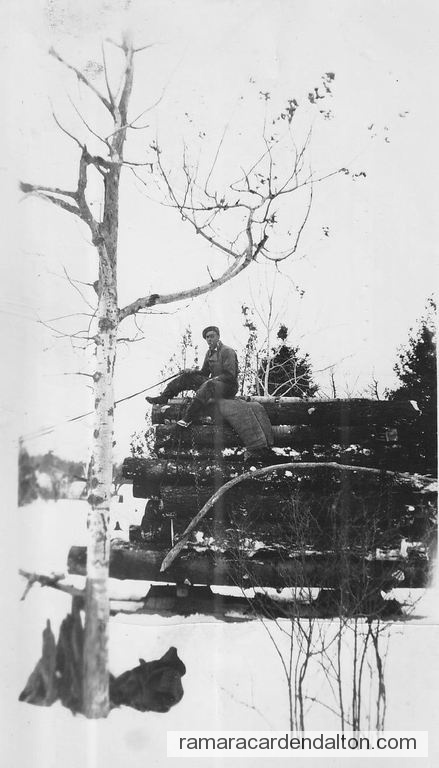 Photo of the day 4409 - Photo of the day