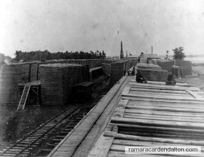 Photo of the day 441 - Photo of the day