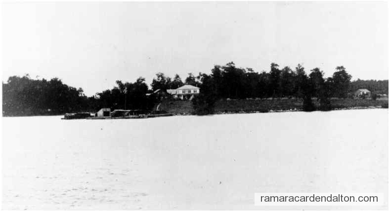 Photo of the day 442 - Photo of the day