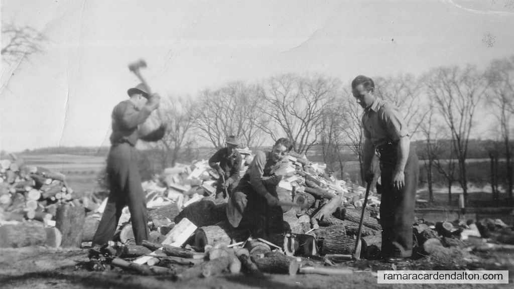 Photo of the day 4428 - Photo of the day