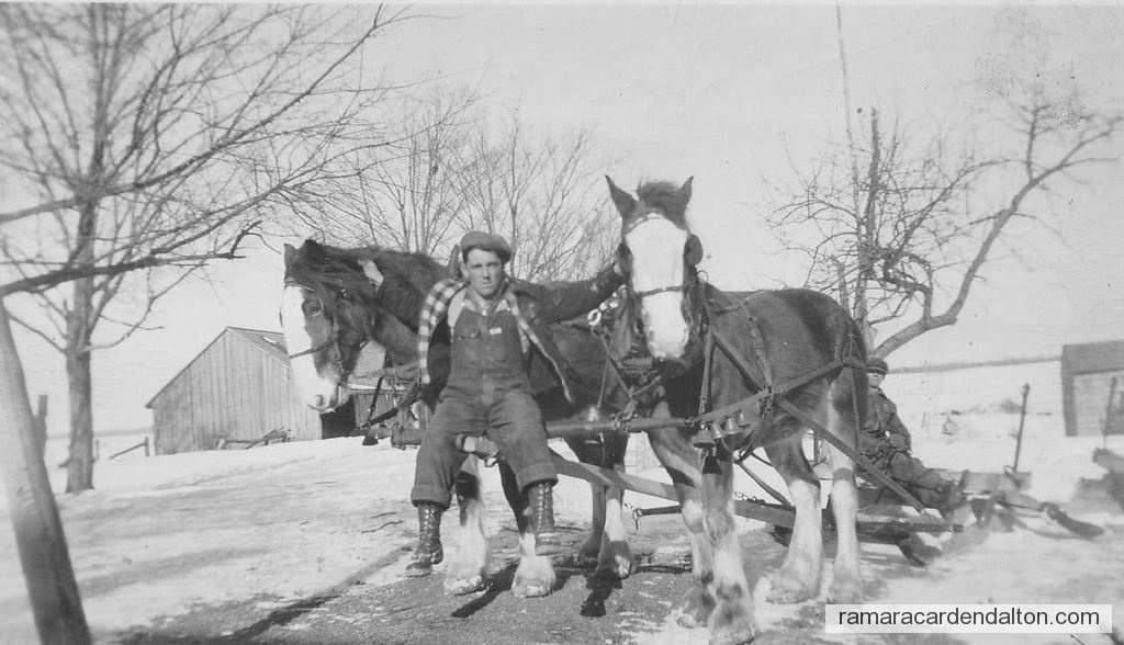 Photo of the day 4460 - Photo of the day