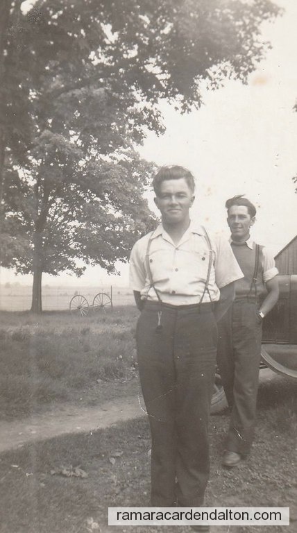 Photo of the day 4479 - Photo of the day