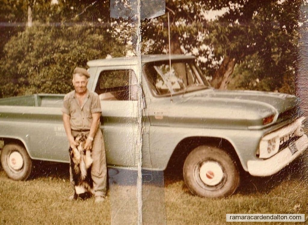 Photo of the day 4527 - Photo of the day