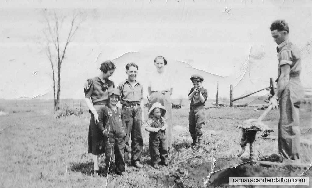 Photo of the day 4612 - Photo of the day