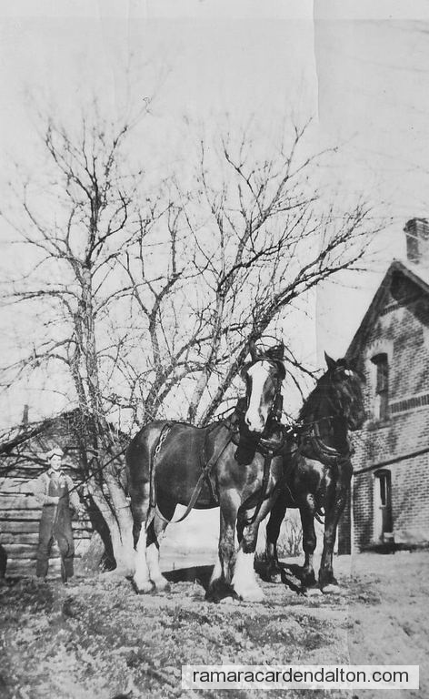 Photo of the day 4623 - Photo of the day