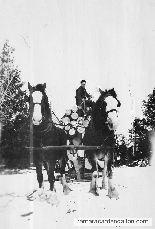 Photo of the day 4629 - Photo of the day