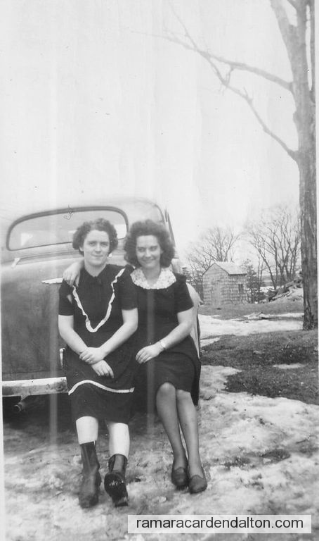 Photo of the day 4631 - Photo of the day