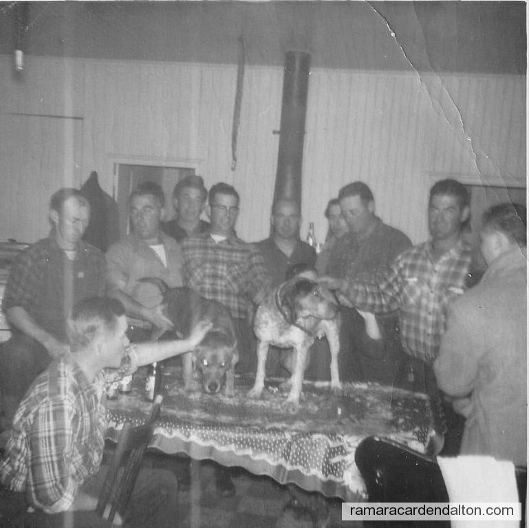 Photo of the day 4634 - Photo of the day