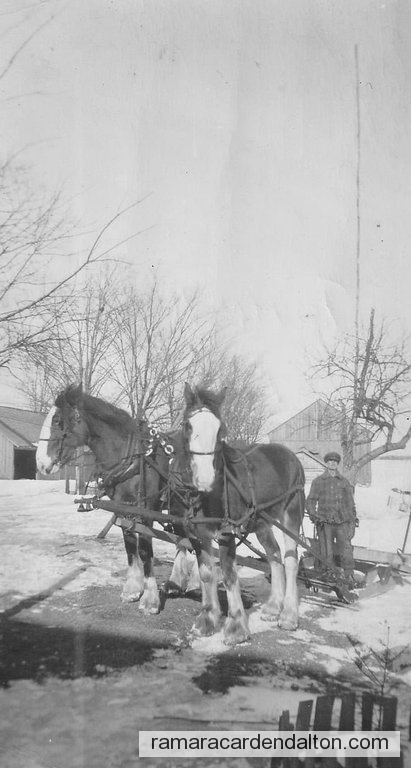 Photo of the day 4647 - Photo of the day