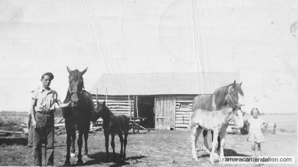 Photo of the day 4671 - Photo of the day