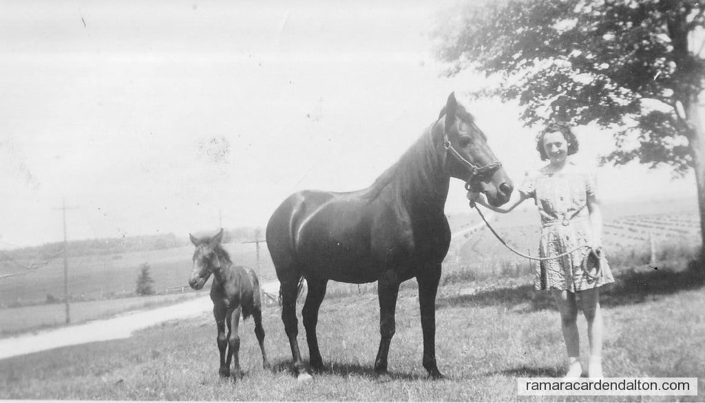 Photo of the day 4677 - Photo of the day