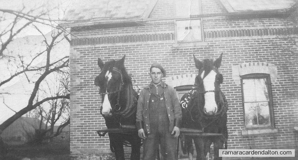 Photo of the day 4698 - Photo of the day