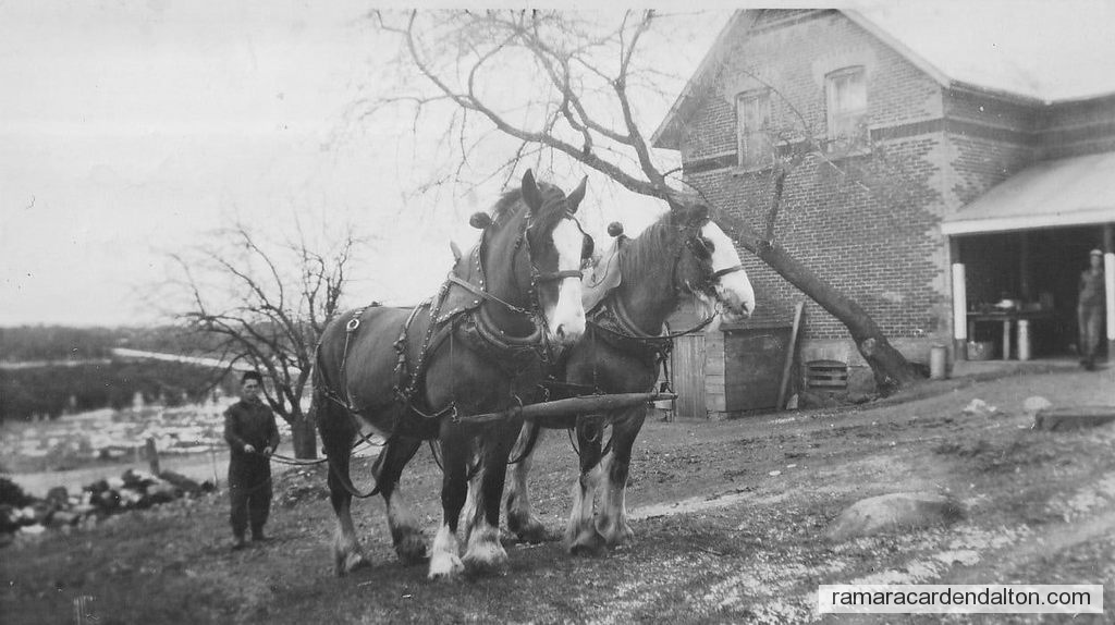 Photo of the day 4707 - Photo of the day