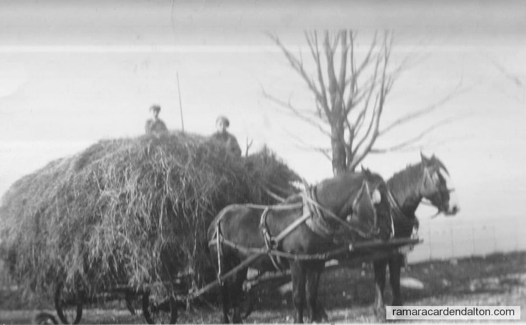 Photo of the day 4743 - Photo of the day