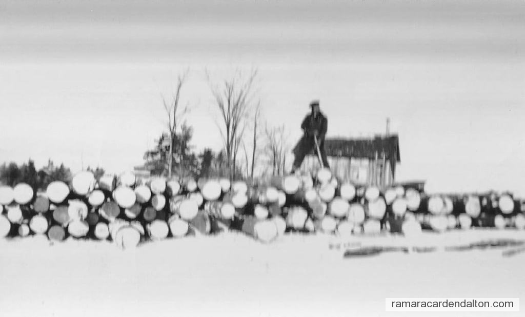 Photo of the day 4745 - Photo of the day