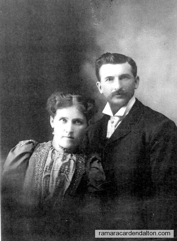 Photo of the day 475 - Photo of the day