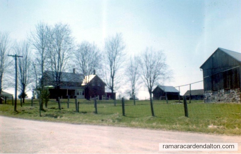 Photo of the day 478 - Photo of the day