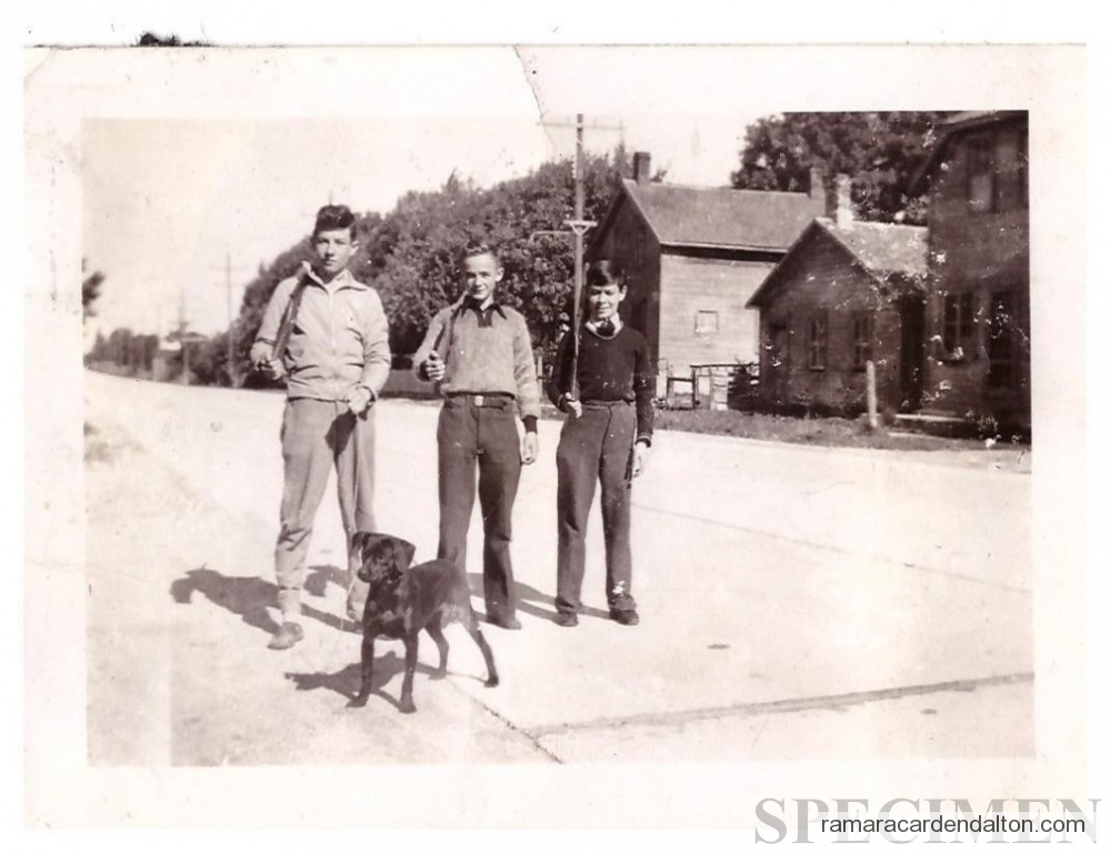 Photo of the day 484 - Photo of the day