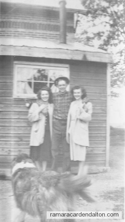 Photo of the day 4857 - Photo of the day