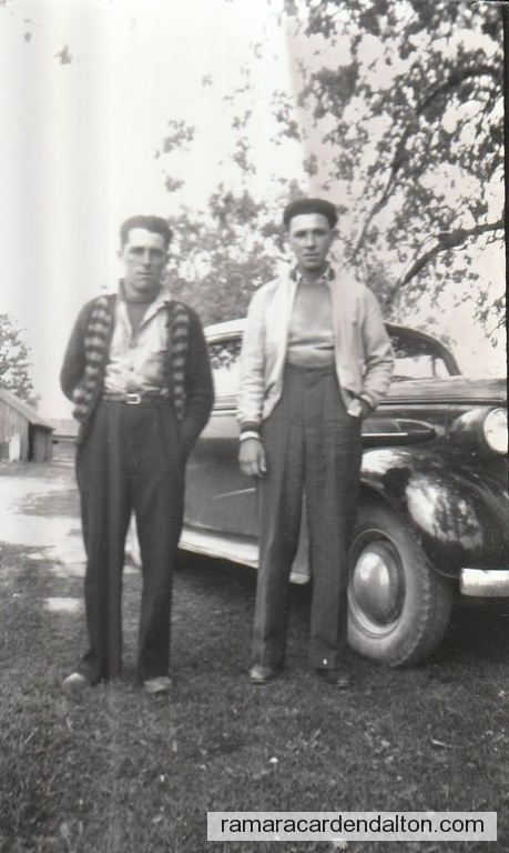 Photo of the day 4864 - Photo of the day