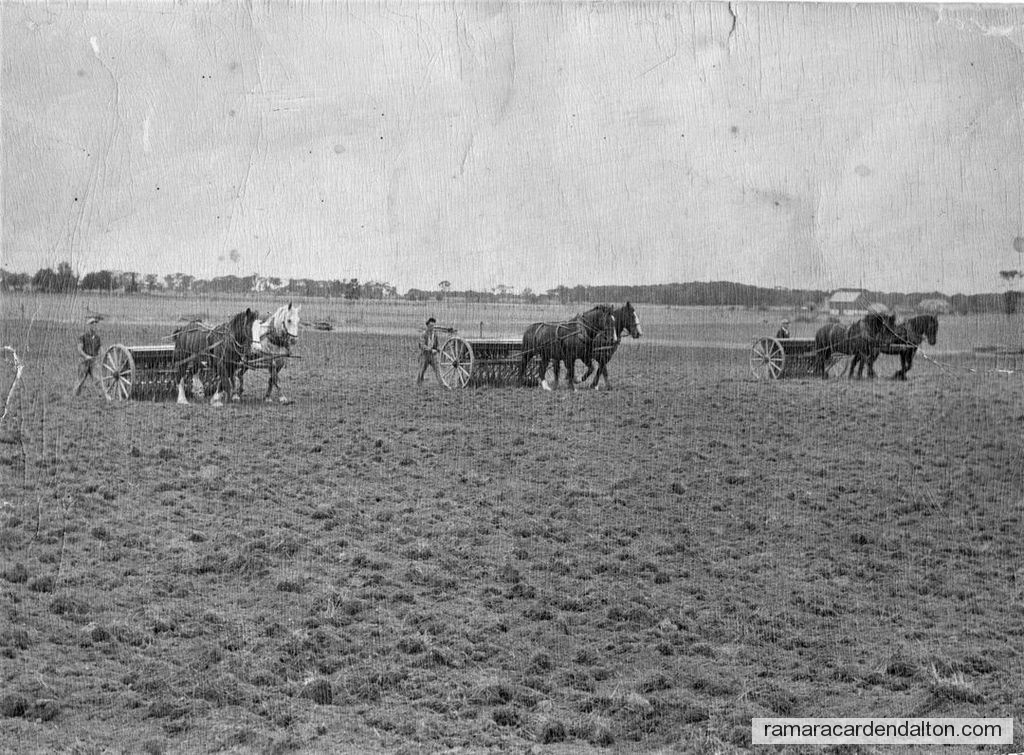 Photo of the day 4865 - Photo of the day