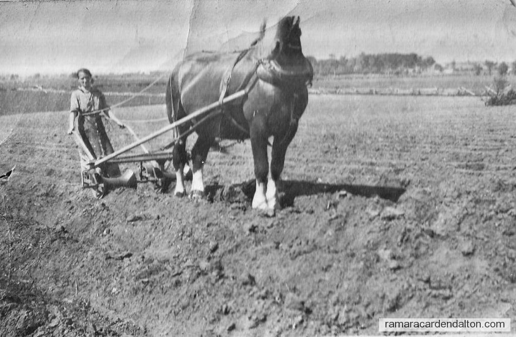 Photo of the day 4866 - Photo of the day