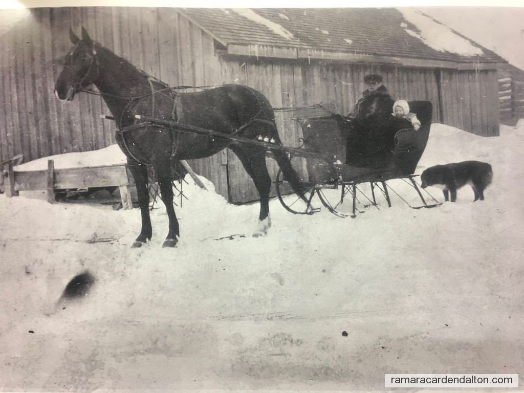 Photo of the day 4869 - Photo of the day