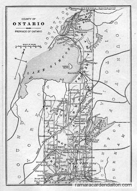 Photo of the day 487 - Photo of the day