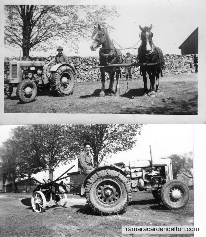 Photo of the day 4896 - Photo of the day