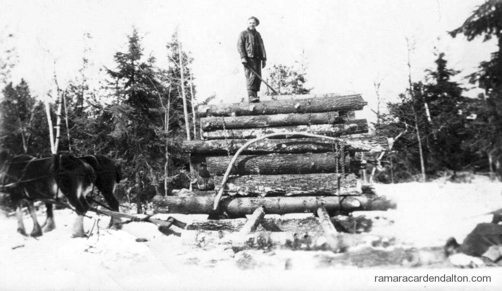 Photo of the day 4973 - Photo of the day