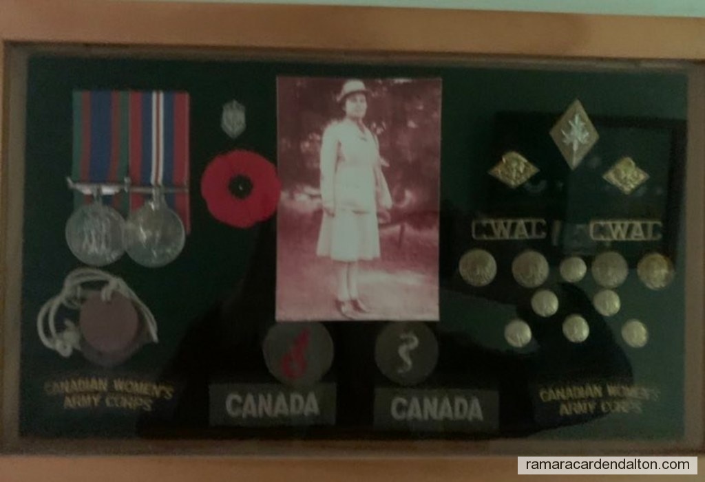 Photo of the day 4980 - Photo of the day