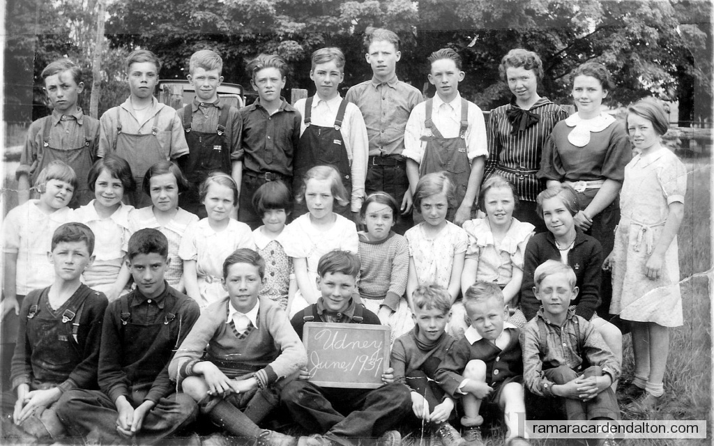 Photo of the day 511 - Photo of the day