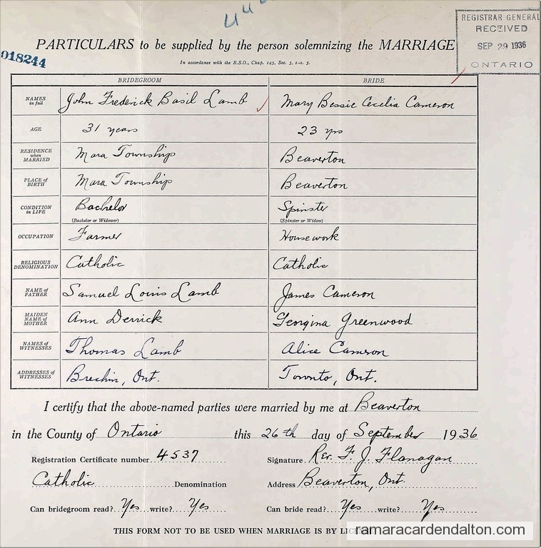 Photo of the day 5137 - Photo of the day