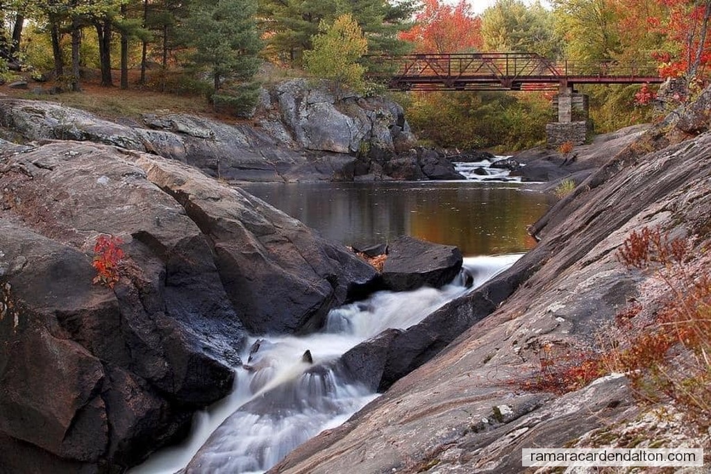 Photo of the day 5272 - Photo of the day