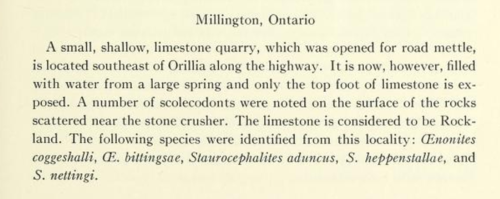 5390 - Photo of the day