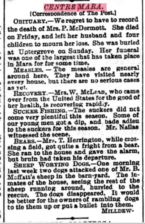 Photo of the day 5397 - Photo of the day