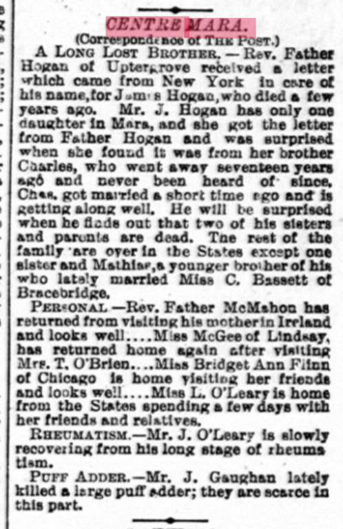 Photo of the day 5400 - Photo of the day