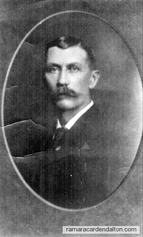 Photo of the day 549 - Photo of the day