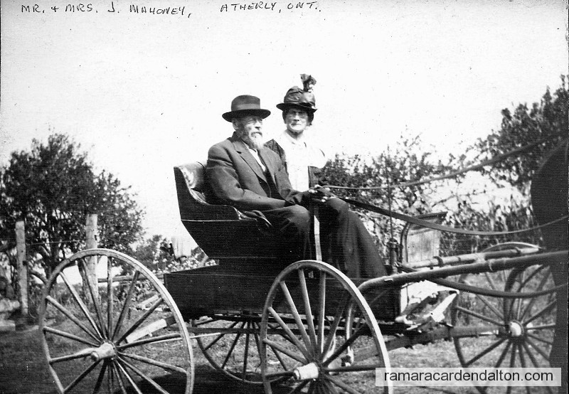 Photo of the day 556 - Photo of the day